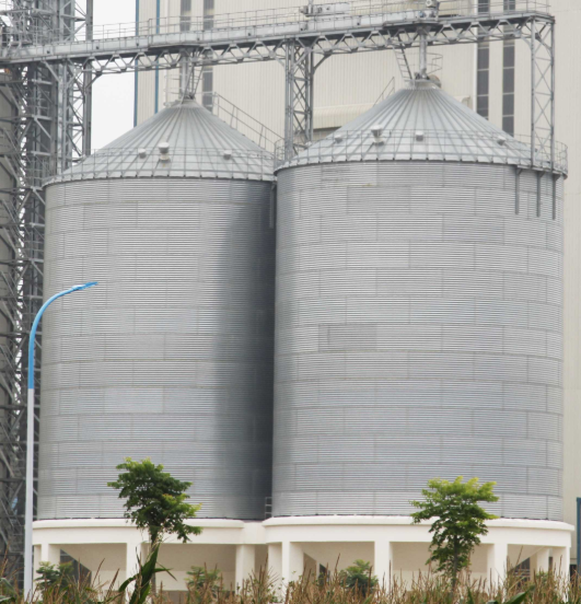 Hopper-bottom grain silos linked by an overhead conveyor at a storage facility