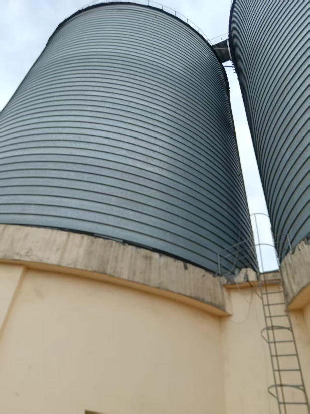 Commercial feed mill bulk storage silos